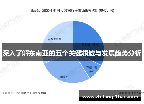 深入了解东南亚的五个关键领域与发展趋势分析