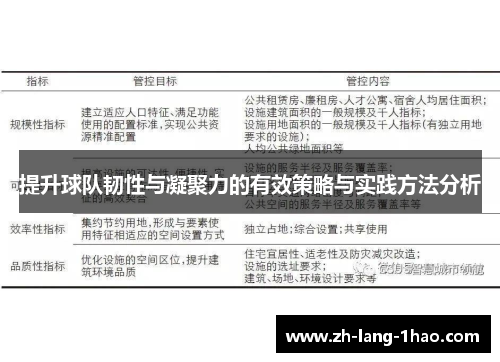 提升球队韧性与凝聚力的有效策略与实践方法分析