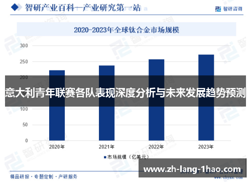 意大利青年联赛各队表现深度分析与未来发展趋势预测