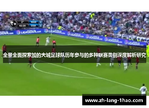 全景全面探索加的夫城足球队历年参与的多种联赛类别深度解析研究