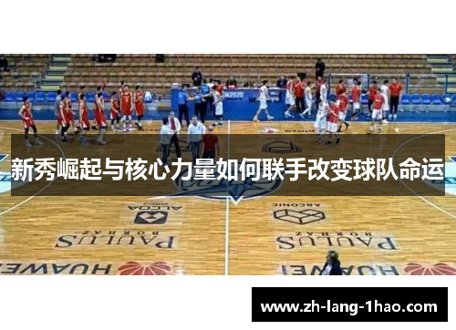新秀崛起与核心力量如何联手改变球队命运
